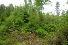 3OEQQUGJTPHGEU29_3PM2EUOOU7SU5S87_____resize_s_800_0