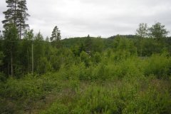 3OEQQUGJTPHGEU29_3PM2F5HIA7SU5T7S_____resize_s_800_0