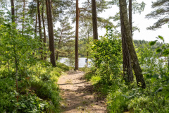 7bab2d40-5010-11f0-912f-d7f724796200