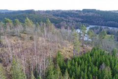 DCIM100MEDIADJI_0040.JPG