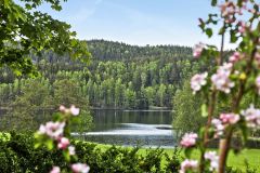 cbild4pbsqjmo1519d9gd-130291595-rszww1170-80