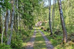 cbild4peajb14abtusftr-846361463-rszww1170-80